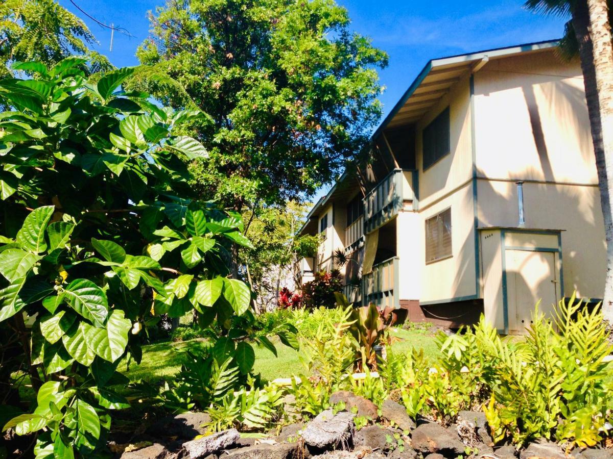Palani Kailua-Kona